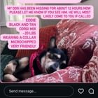 lost dog in Atlanta, Georgia