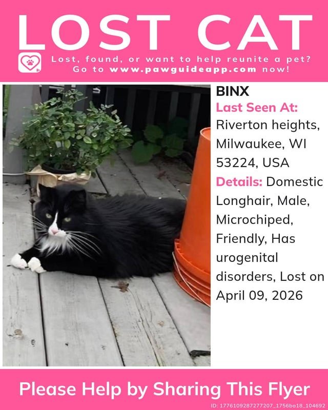 Lost Cat in Milwaukee, Wisconsin — listing photo