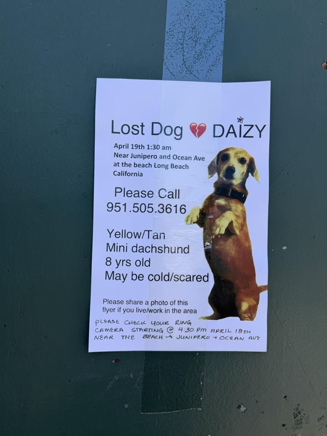 Lost Dog in Long Beach, California — I saw this missing dog poster near Junipero and Ocean Ave 🥺
