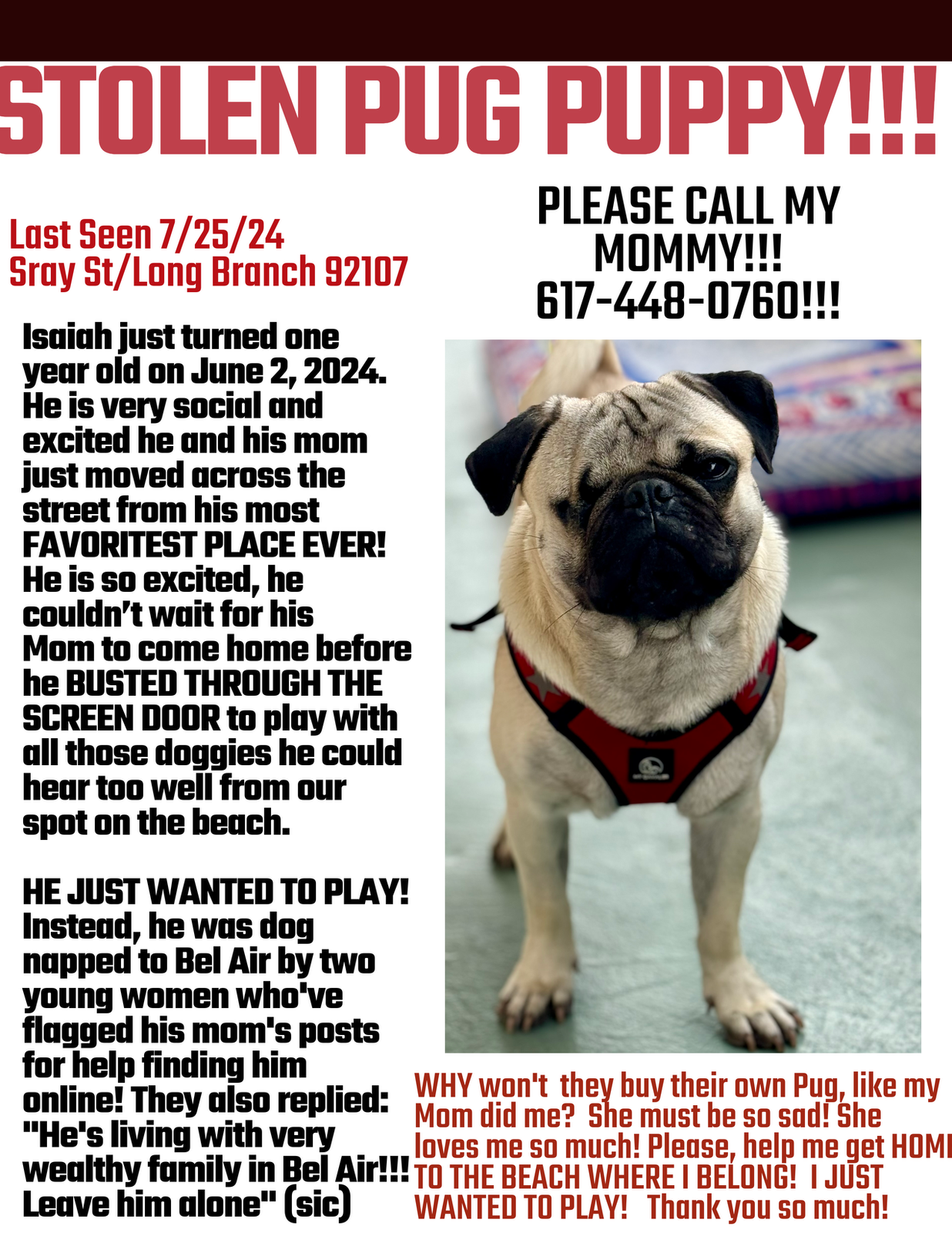 Lost Dog in Los Angeles, California — listing photo