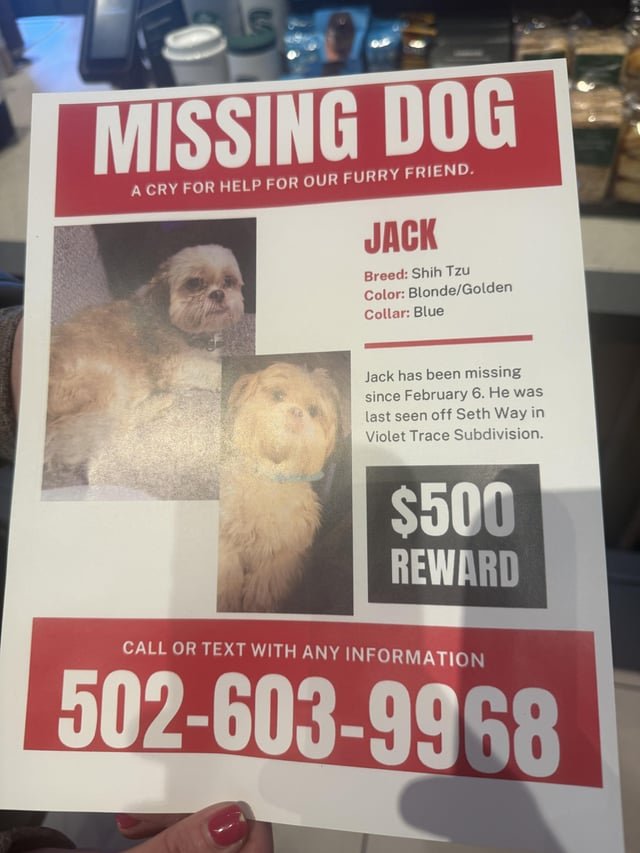 Lost Dog in Georgetown, Texas — Sweet lady I met at Starbucks in georgetown lost her dog and asked me to share 💔