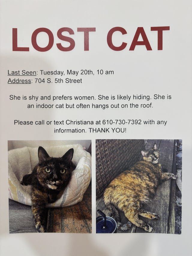 Lost Pet in Philadelphia, Pennsylvania — listing photo
