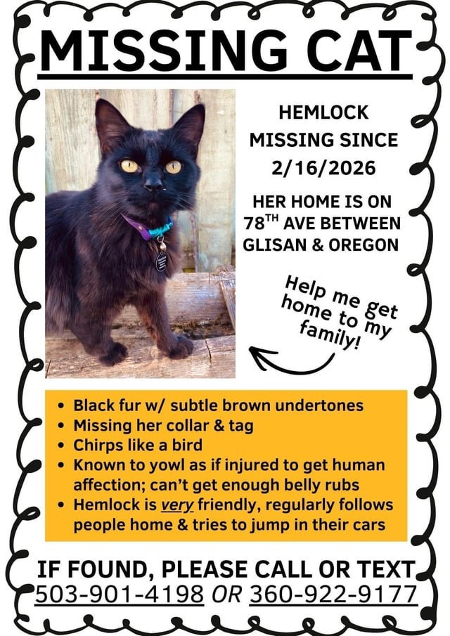lost cat in Portland, Oregon