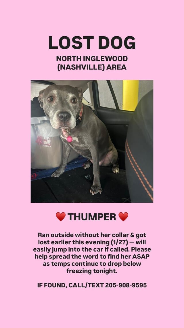 Lost Dog in Nashville, Tennessee — Urgent- Lost Dog in the Snow in North Inglewood (1/27)