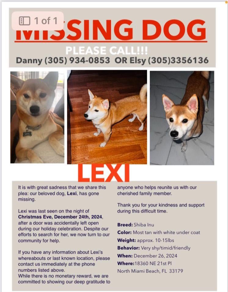 Lost Pet in Miami, Florida — listing photo