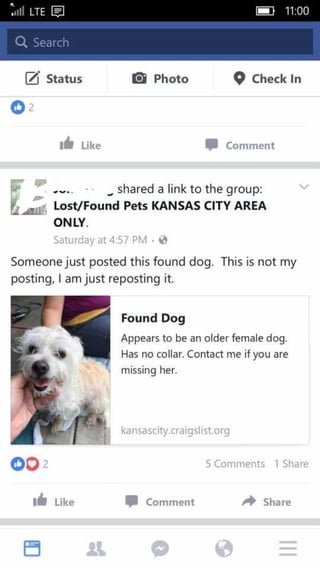 Lost Dog in Craig — Anyone know who posted then removed this on Craigslist? It is my friend's dog.