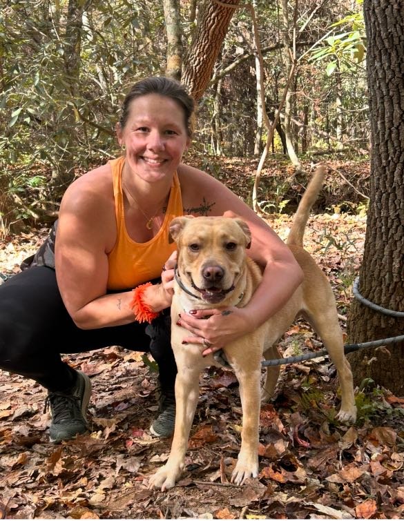 Lost Dog in Hickory, North Carolina — listing photo