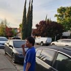 Found Cat in San Jose, California — Does anyone recognize these two individuals?