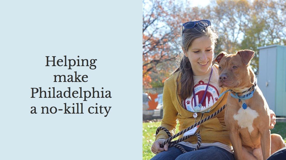 Found Pet in Philadelphia, Pennsylvania — things you can do if: you see a deceased cat or dog outside, you need low cost vet…