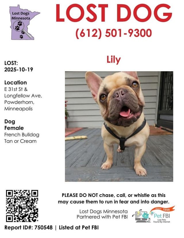 Lost Pet in Minneapolis, Minnesota — listing photo