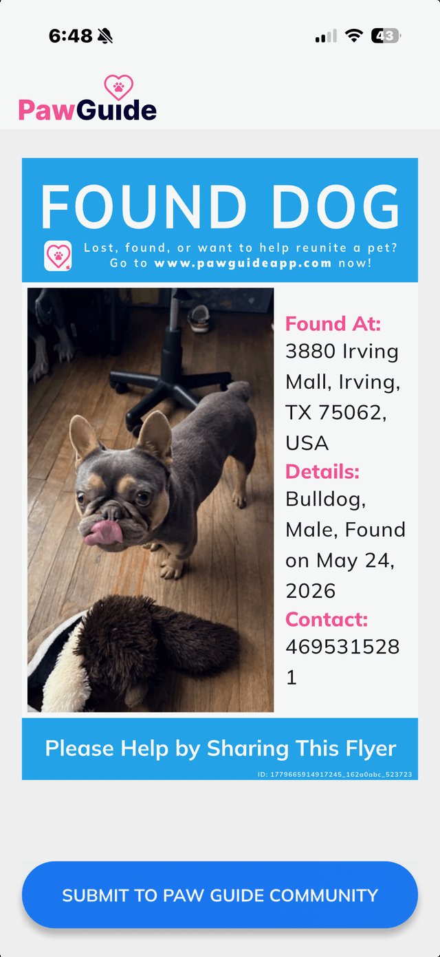 Found Pet in Dallas, Texas — listing photo