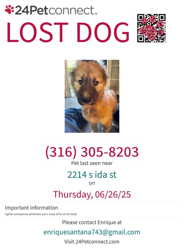 lost dog in Wichita, Kansas