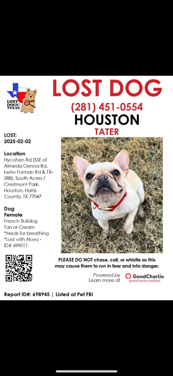 Lost Dog in Houston, Texas — listing photo
