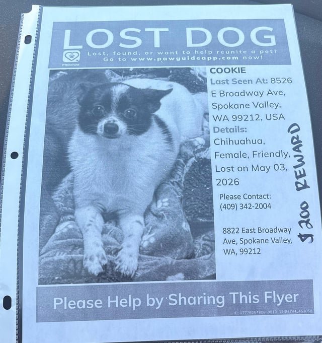 Lost Dog in Spokane, Washington — Help find missing dog