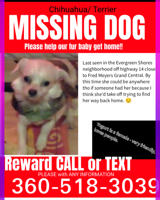 Lost Dog in Vancouver, Washington — listing photo