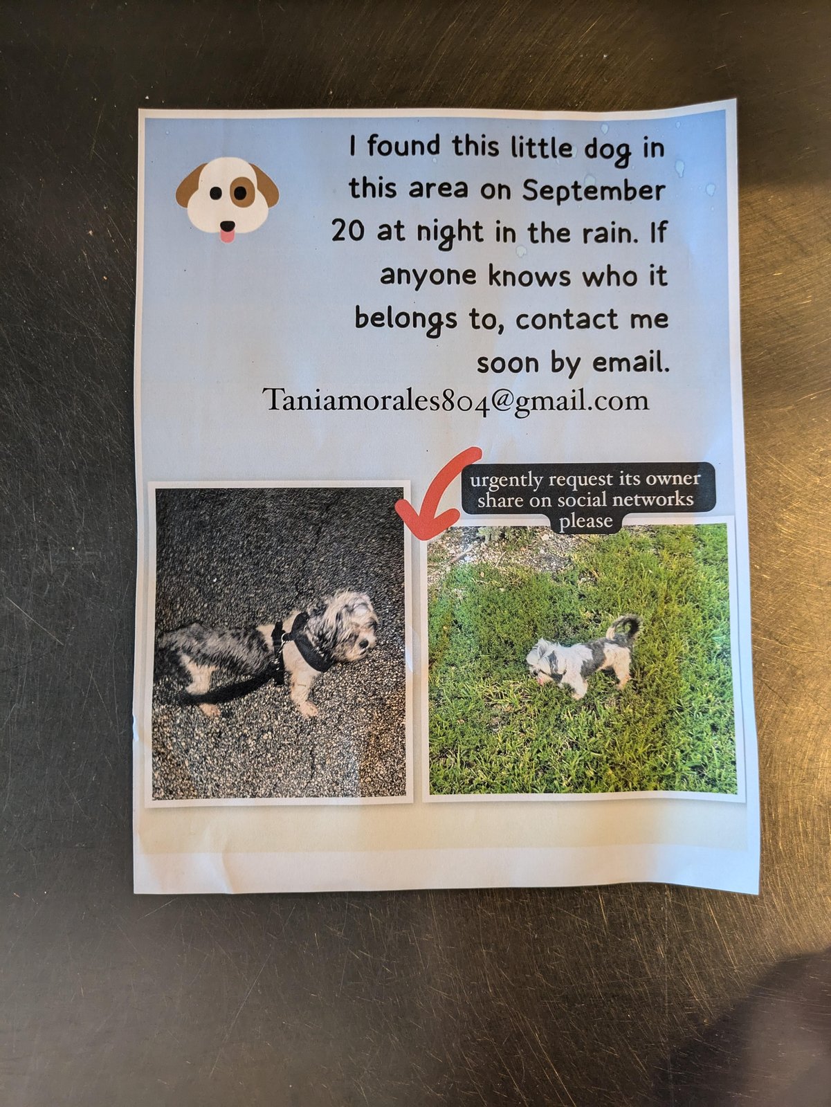 Pet alert in Miami, Florida — listing photo