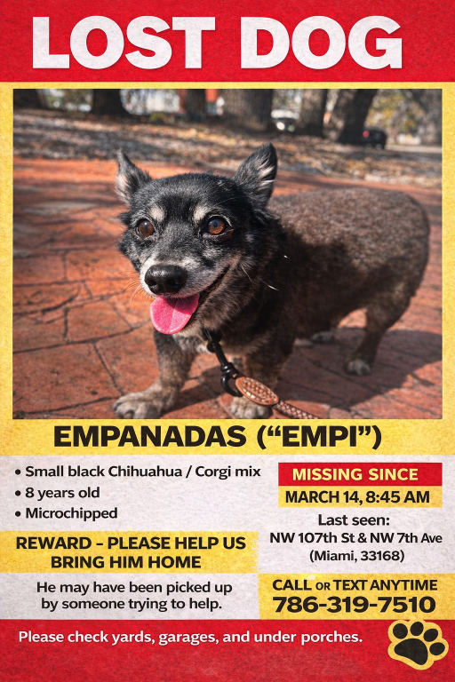 Lost Dog in Miami, Florida — listing photo