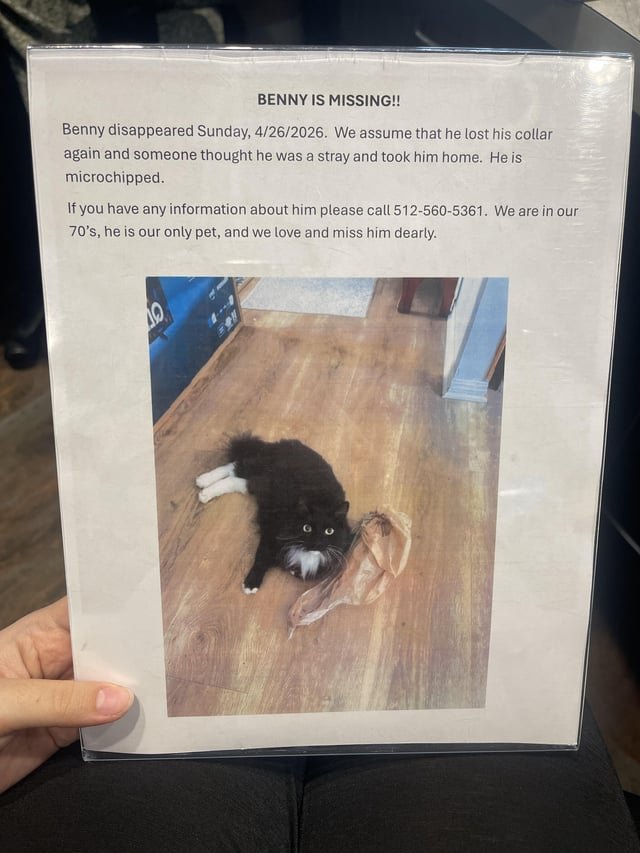 Lost Cat in Austin, Texas — W. Whitestone cat is missing