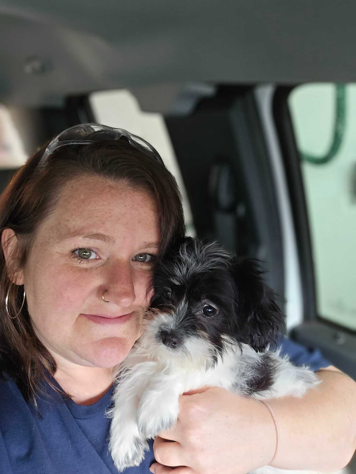 Lost Dog in Old walhalla highway — listing photo