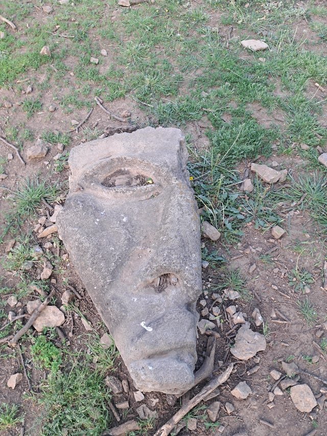 Found Dog in Nashville, Tennessee — Stone face carving