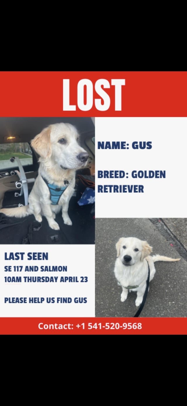 Lost Dog in Portland, Oregon — listing photo