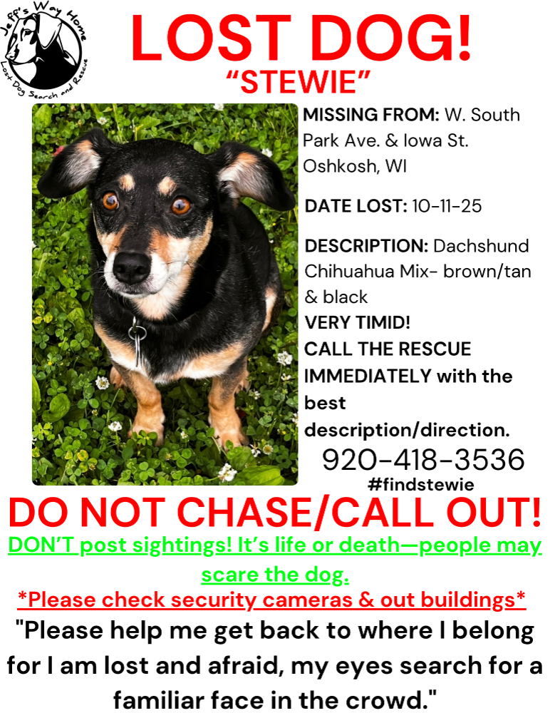 Lost Dog in Oshkosh, Wisconsin — listing photo
