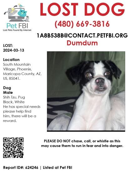 Lost Dog in Phoenix, Arizona — listing photo