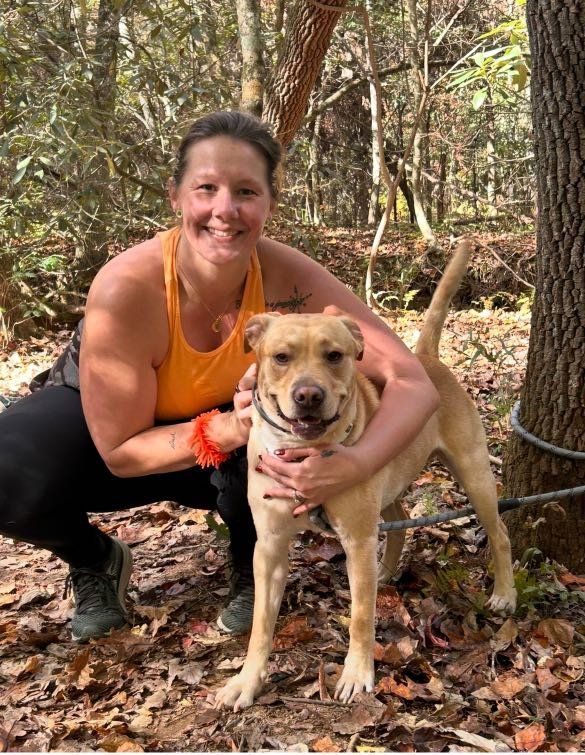 Lost Dog in Hickory, North Carolina — listing photo