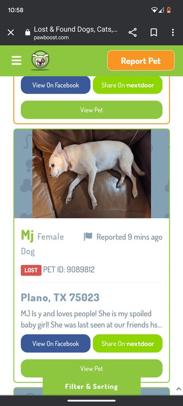 Lost Dog in Plano, Texas — Hay everyone I lost my dog