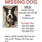 Lost Dog in Las Vegas, Nevada — Missing: Mick the Boston Terrier