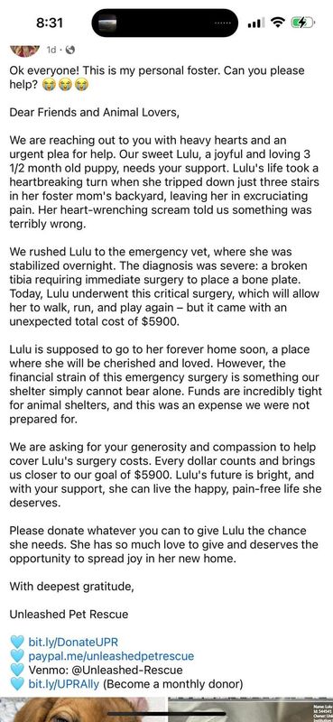 Lost Pet in Rescue — How is Unleashed still operating?