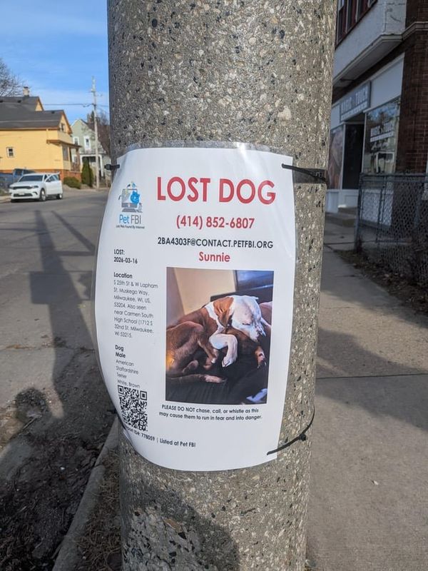 Lost Dog in Milwaukee, Wisconsin — listing photo