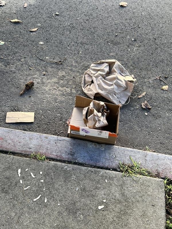 Found Dog in San Francisco, California — Amazon left my package outside the gate this morning.