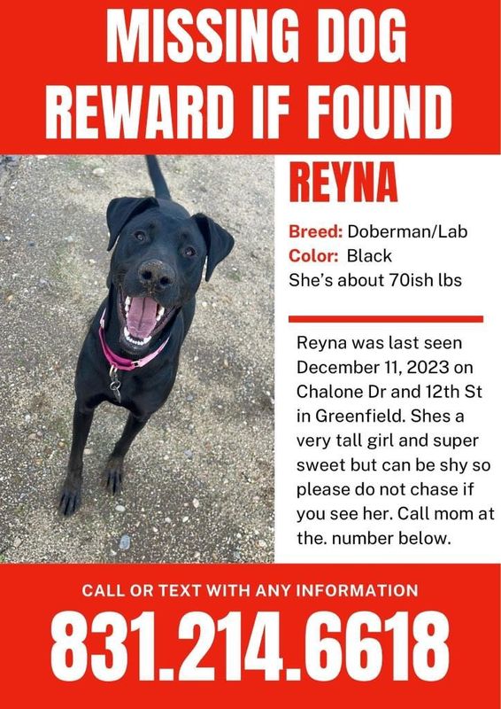 Lost Dog in Greenfield, Wisconsin — listing photo