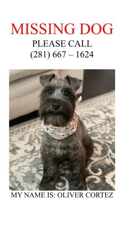 Lost Dog in Houston, Texas — listing photo