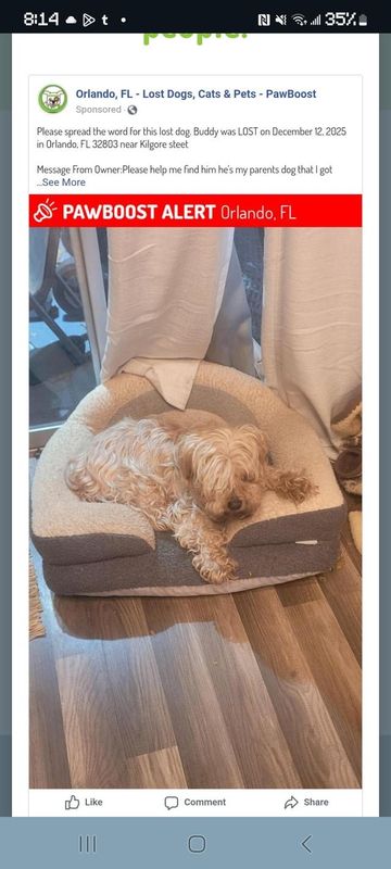 Lost Dog in Sandy, Utah — listing photo
