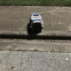 Found Cat in Houston, Texas — Some lovely person dumped a family of cats near me.
