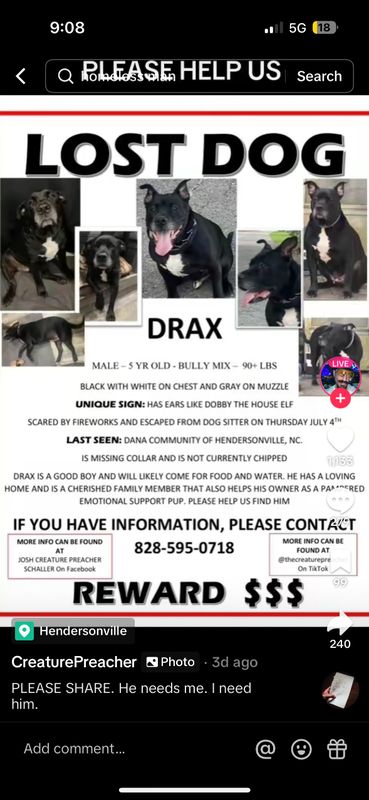 Lost Dog in Hendersonville, Tennessee — listing photo