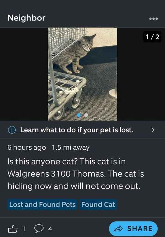 Lost Cat in Memphis, Tennessee — After seeing this on ring. We picked the little guy up. Anyone want a 3-4 month old kitty?