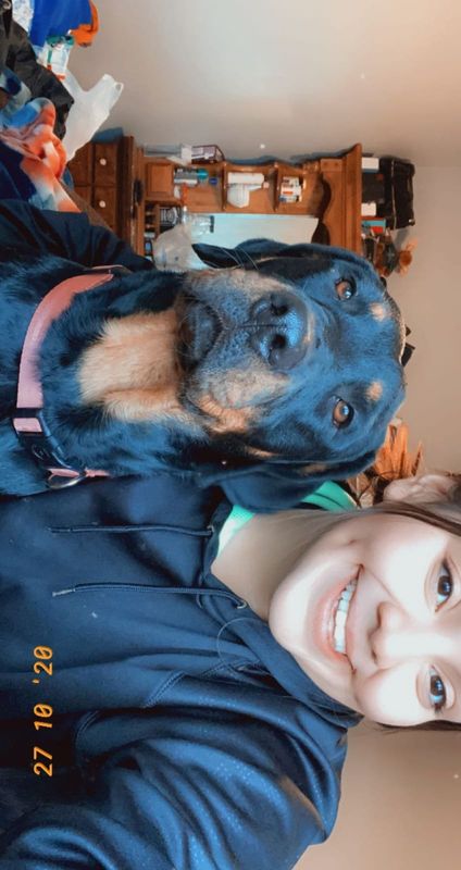 Lost Dog in Santa maria el pqso — listing photo