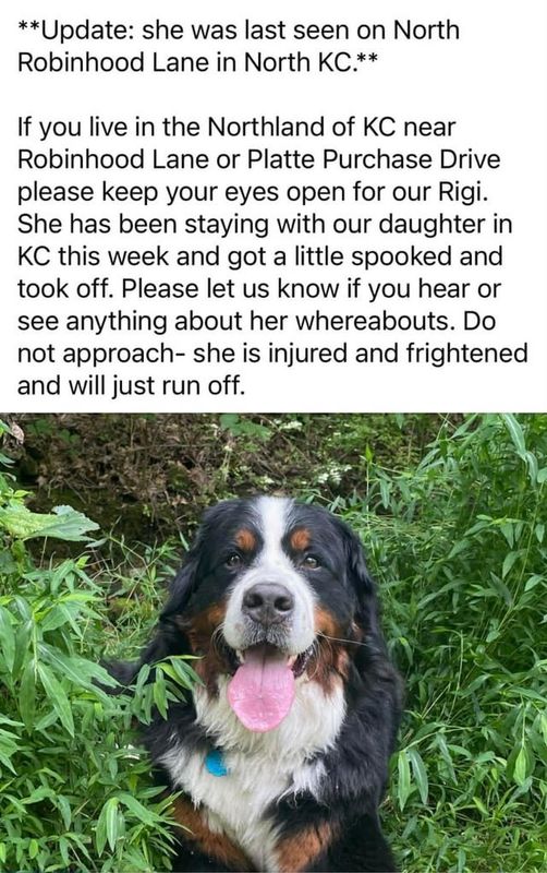 Lost Dog in Kansas City, Missouri — listing photo