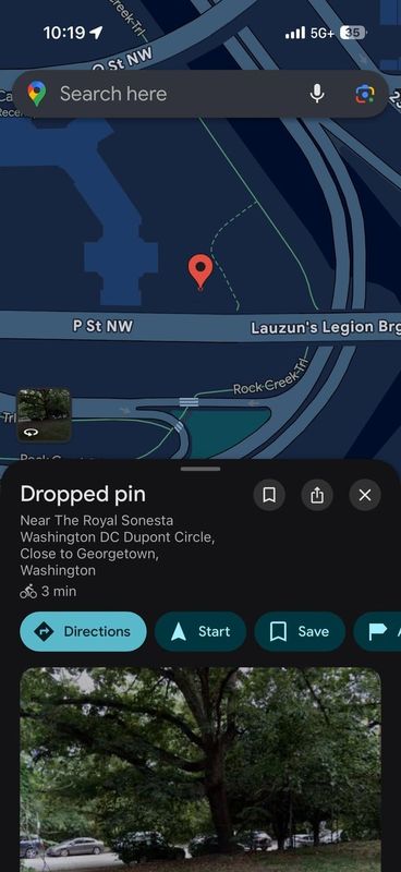 Lost Cat in Washington, District of Columbia — listing photo