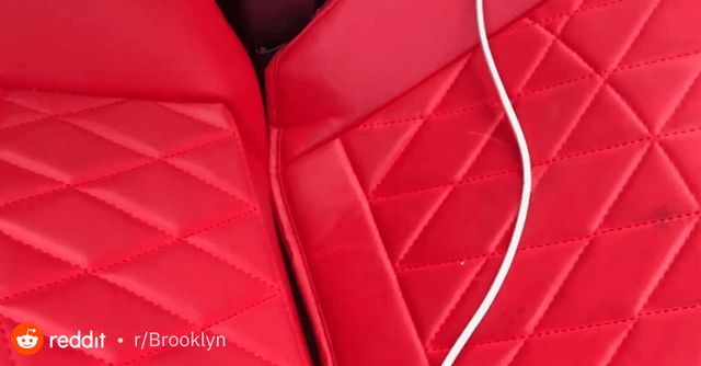 Found Dog in New York, New York — listing photo