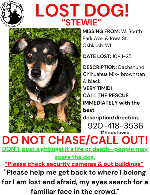Lost Dog in Oshkosh, Wisconsin — listing photo