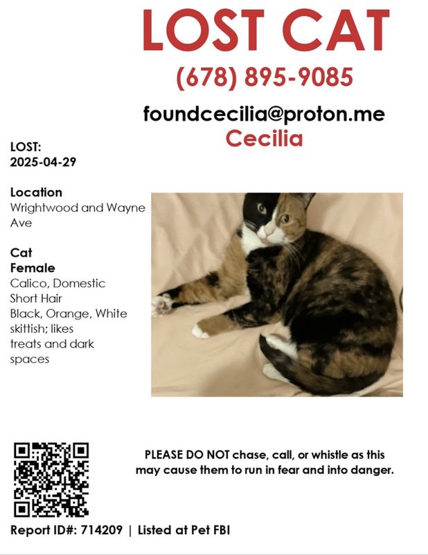 Lost Cat in Lincoln Park, Michigan — listing photo