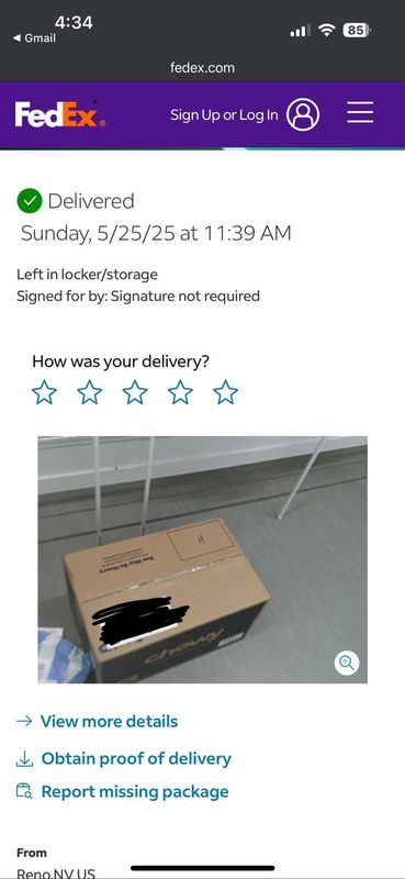 Lost Cat in Seattle, Washington — Does this look like your mail room?