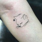 Lost Pet in Albuquerque, New Mexico — Albuquerque fine line tattoo