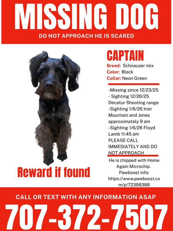 Lost Dog in Las Vegas, Nevada — listing photo