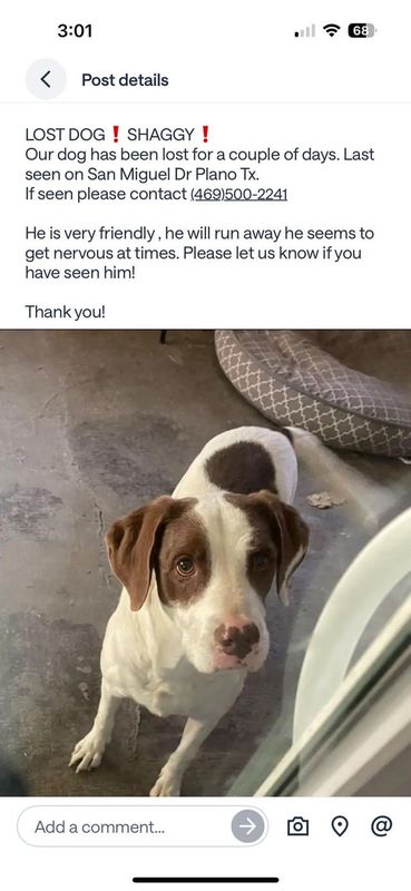 Lost Dog in Plano, Texas — Looking for Lost dog
