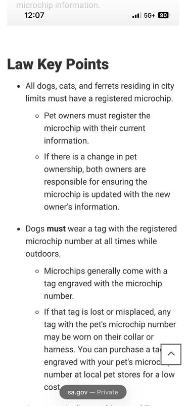 Lost Pet in San Antonio, Texas — I had not heard this until today, All San Antonio pets must be chipped.